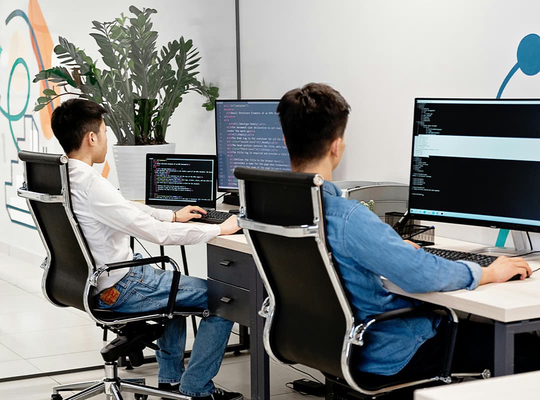 programmers